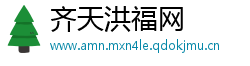 齐天洪福网